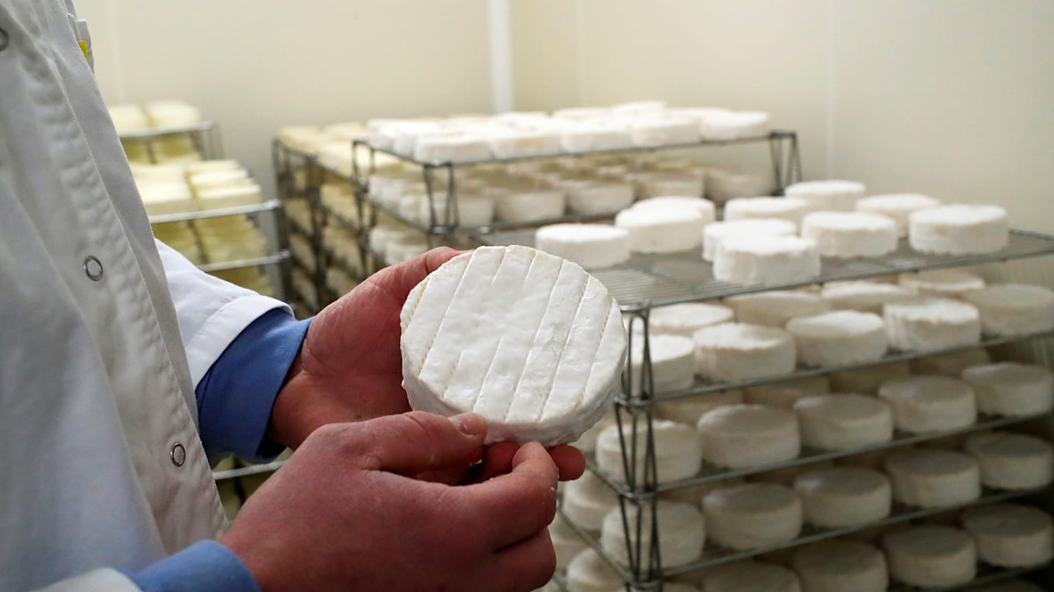 Francia: Pérdidas millonarias en el sector lácteo por accidente industrial 