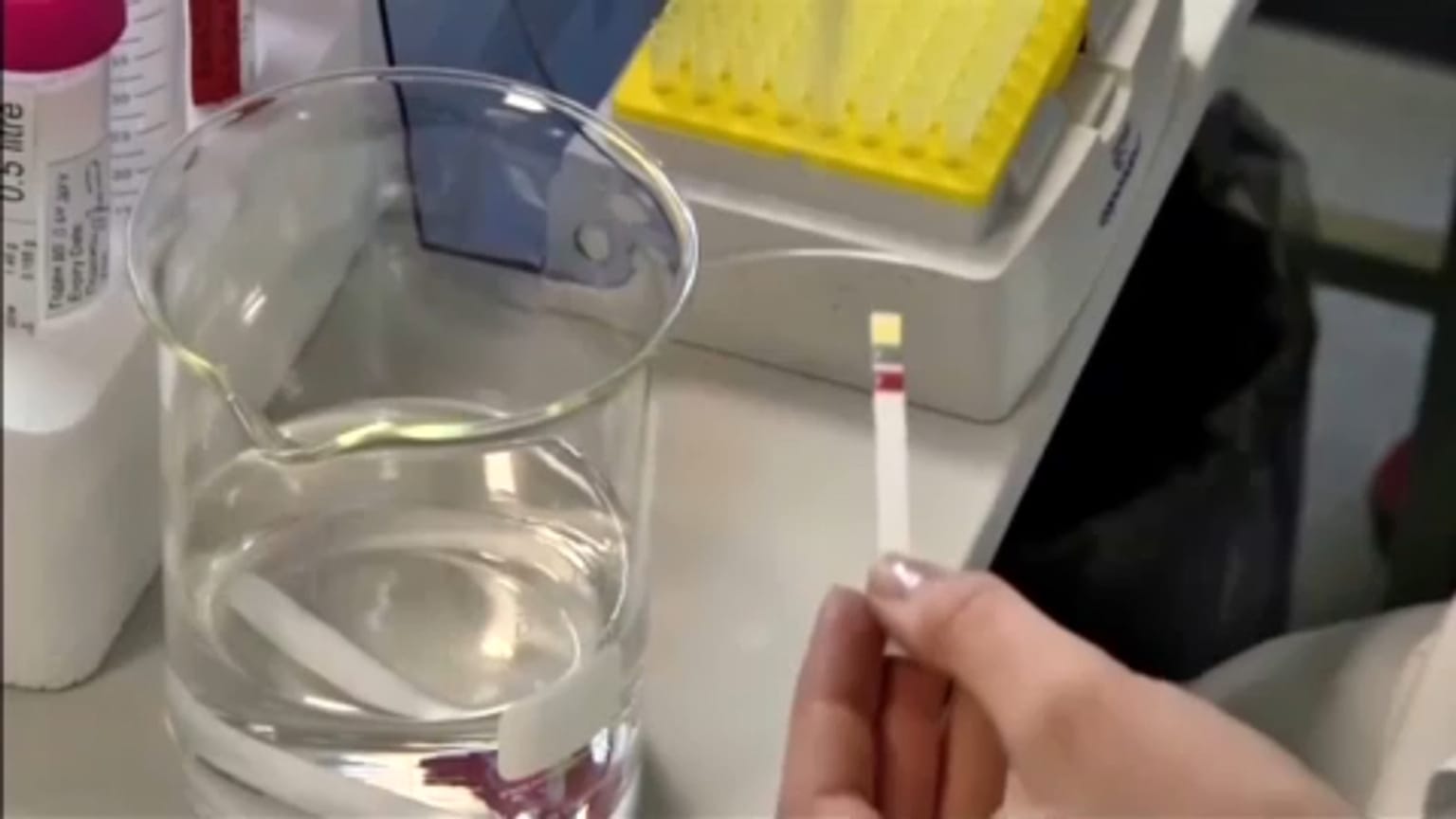 Η Ρωσία παραδέχεται τη χρήση αναβολικών