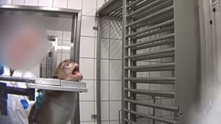 In kaum einem anderen Land der EU wird so viel an Tieren geforscht wie in Deutschland.