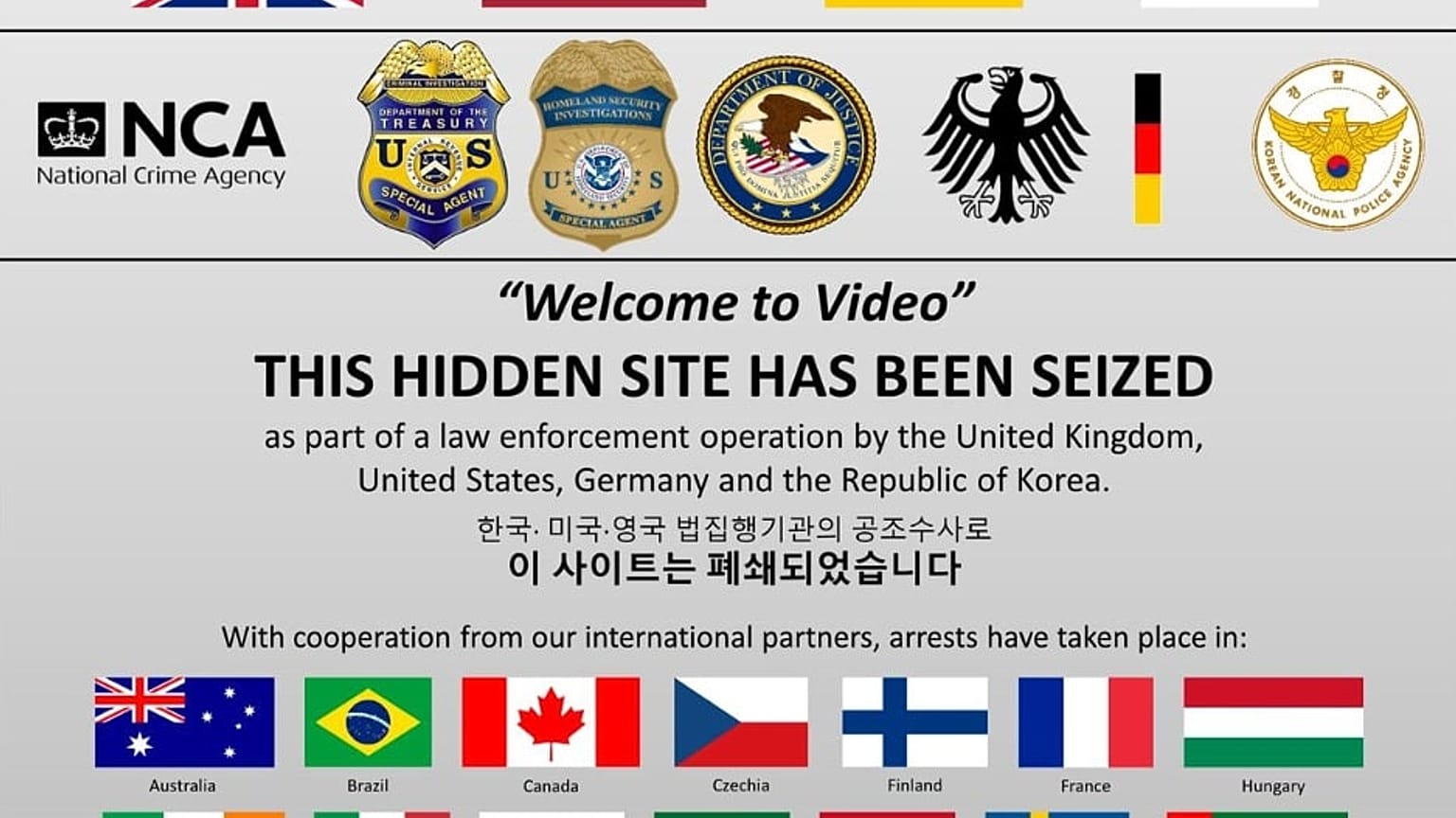 The seized Welome to Video website, courtesy of the U.S. department of Justice.
