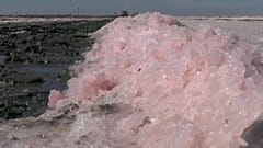 Vom Exportschlager zur Bückware: Rosa Salz von der Krim