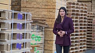 BREXIT : quel avenir pour la palette ?