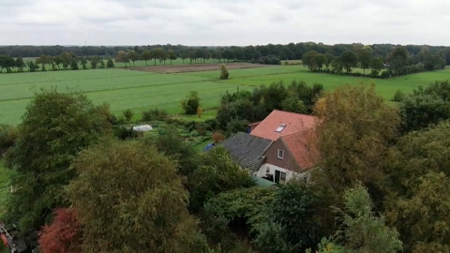 Hollandia: újabb letartóztatás a pincébe zárt család ügyében
