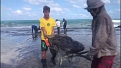 Petroleum sludge strikes popular tourist spot in Brazil