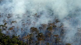 Amazzonia: dopo gli incendi, arrivano i cercatori d'oro