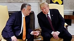 Putyin és Orbán együtt rombolhatta Trump véleményét Ukrajnáról