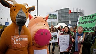 Gazdatüntetés Strasbourgban