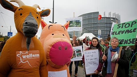 Farmers protest near European Parliament for more sustainable agriculture