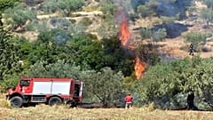 Υπό μερικό έλεγχο η φωτιά στο Πόρτο Ράφτη