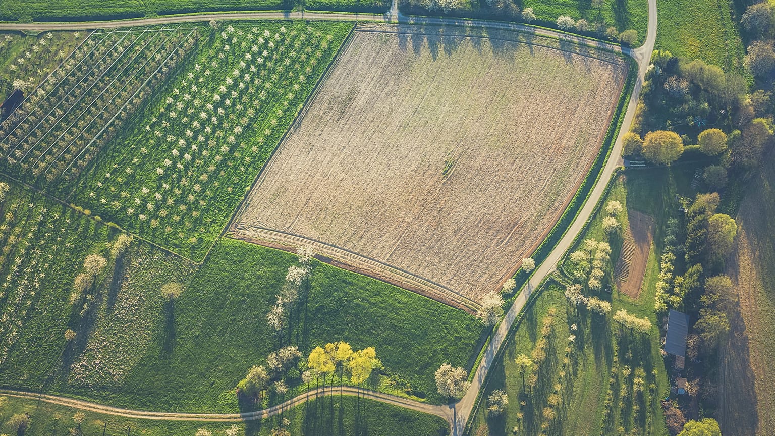Veganism could be key to reducing farming's carbon footprint