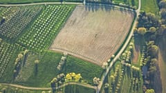 Veganism could be key to reducing farming's carbon footprint