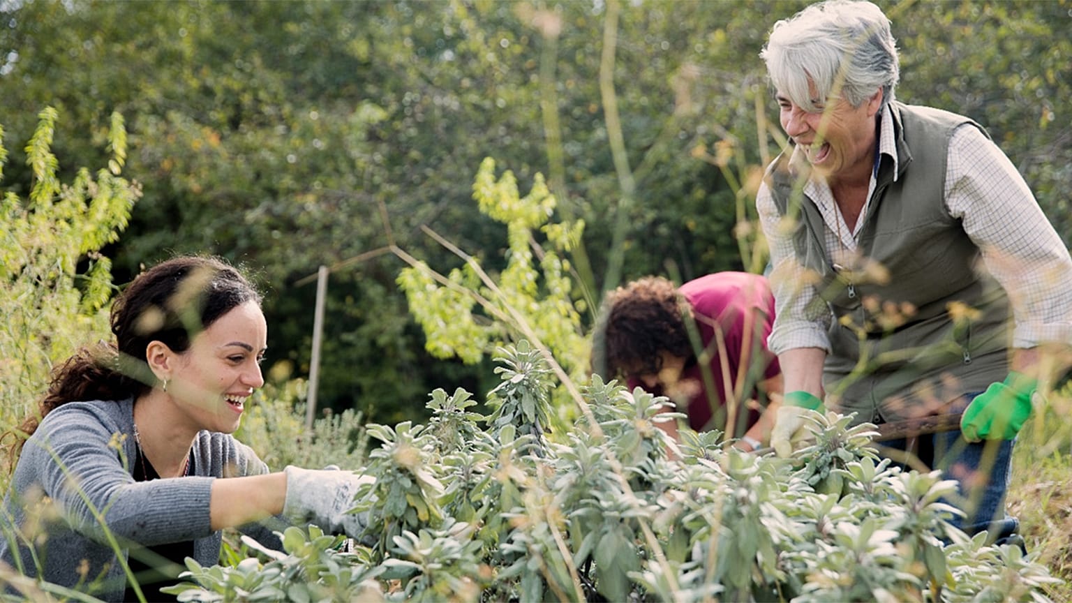 Gardentopia – ©Luca Centola