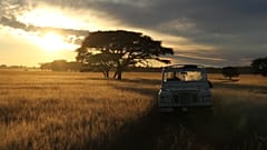 Driving in the Serengeti