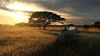 Driving in the Serengeti