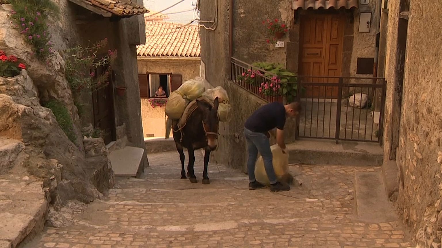 Watch: Mules replace bin lorries in hilltop Italian town