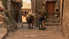 Diese italienische Stadt ersetzt die Müllabfuhr durch Maultiere