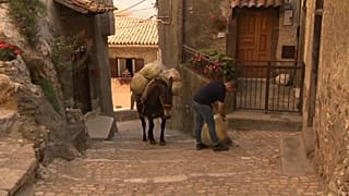 Diese italienische Stadt ersetzt die Müllabfuhr durch Maultiere
