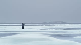 Il ghiaccio si assottiglia: ecosistemi artici in pericolo