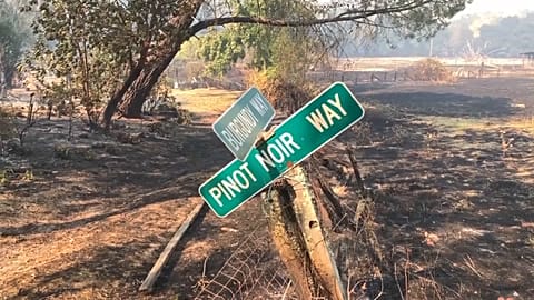 Firefighters tackling massive wildfire in northern California