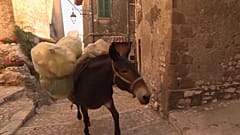 جمع‌‌آوری زباله با قاطرها در آرتنای ایتالیا