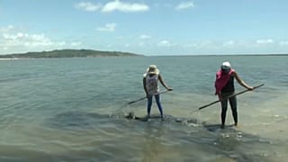 Un vertido ensucia Playa Paraíso