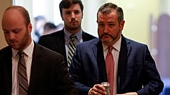 ABD'li Senatör Ted Cruz (sağda) karar tasarısını sunan iki isimden birisi.