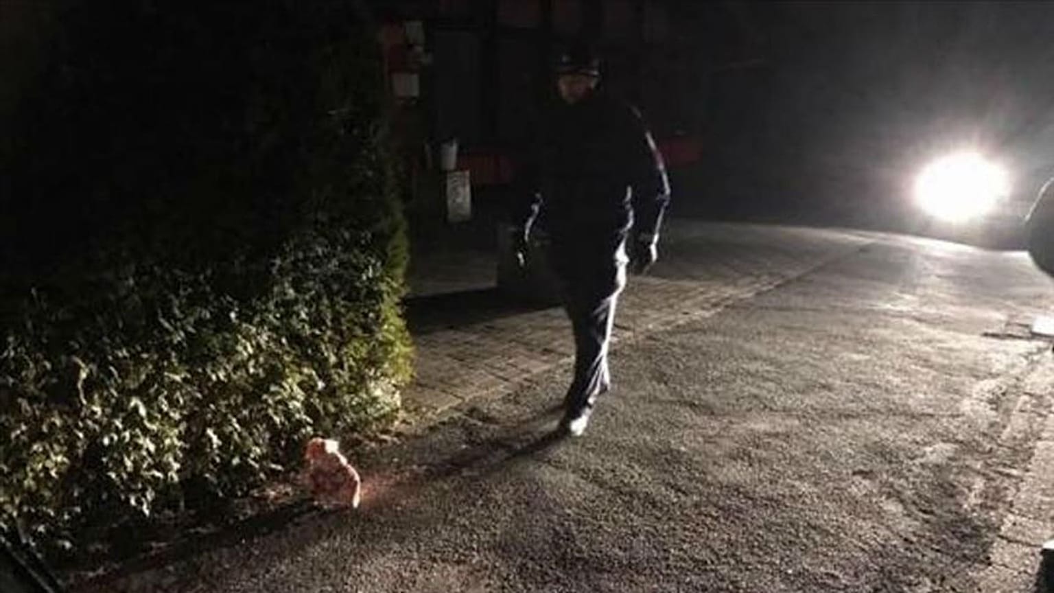 Almanya'da Türk camisinin inşaatına domuz kafası bırakıldı
