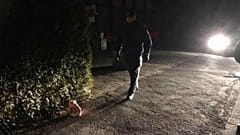 Almanya'da Türk camisinin inşaatına domuz kafası bırakıldı