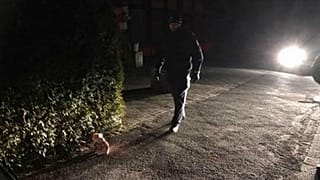 Almanya'da Türk camisinin inşaatına domuz kafası bırakıldı
