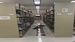 حياوانا الراكون وسط مكتبة خريجي جامعة ولاية أركانساس - 2019/10/27