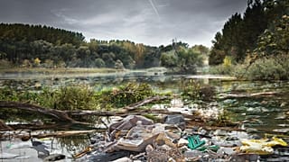 WATCH | Robots to clear plastic from 1000 rivers over 5 years