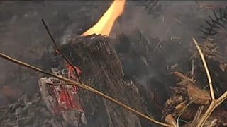 Chamas consomem reserva no sul da Sérvia