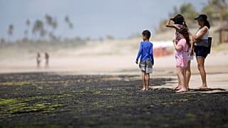 Petroleiro grego responsável por manchas de petróleo nas praias do nordeste