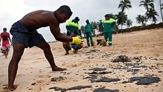 Quelle origine à la marée noire qui touche le Brésil ?