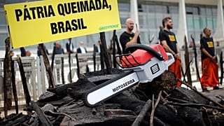 Çevre örgütü Greenpeace Amazonlar'daki yangınlardan dolayı Brezilya'da hükümeti protesto etti.