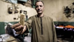 صانعو حلوى المولد النبوي يرسمون الفرح على وجوه المصريين 