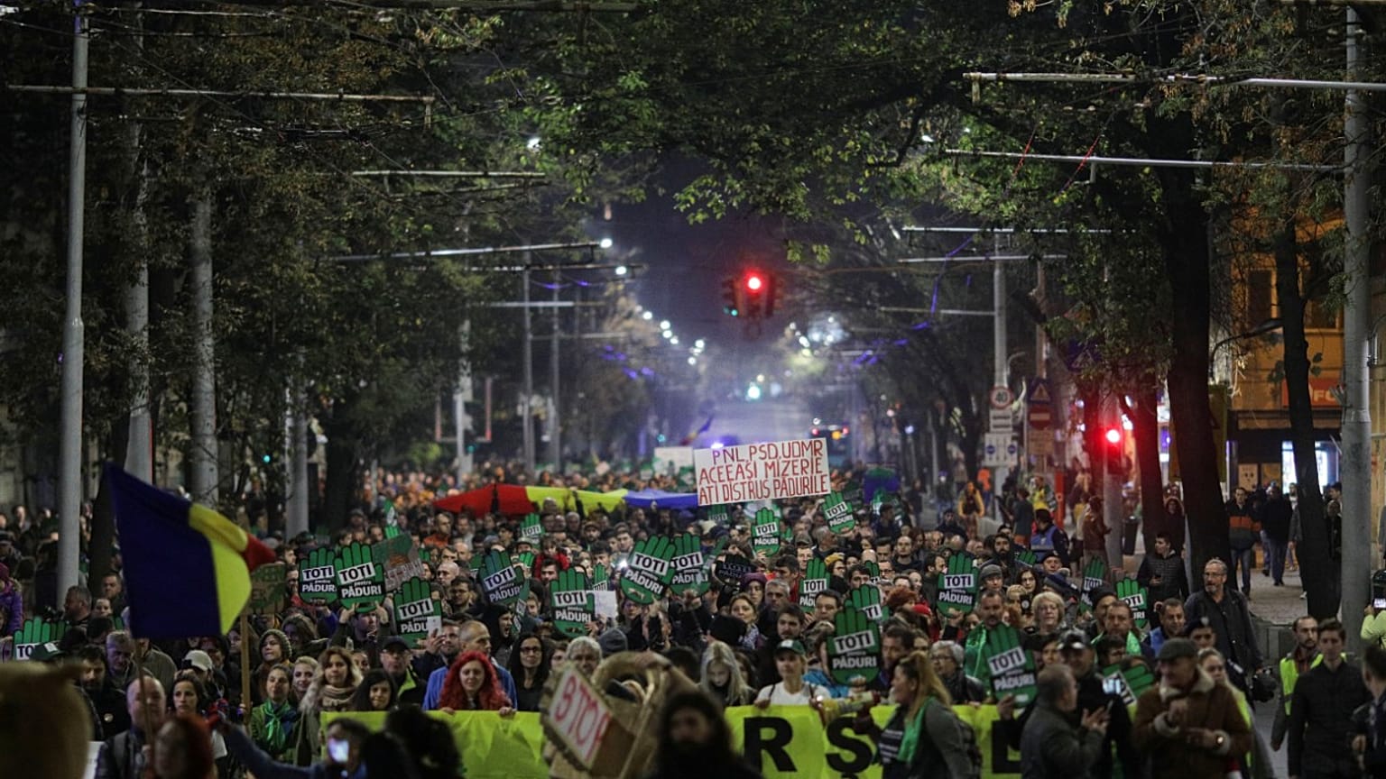 Romanya'da binlerce kişi ağaç kesilmesini protesto etti