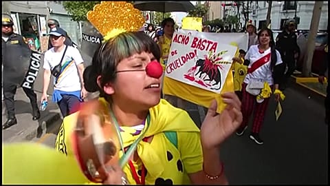 Tensions high as Peruvians protest at bullfighting event