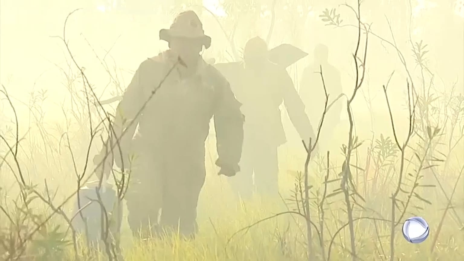 Pantanal arde mais do que a Amazónia