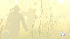 Brésil : le Pantanal en proie aux flammes 