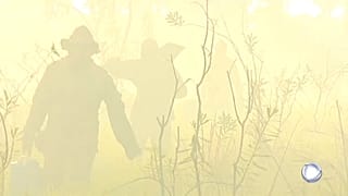 Brésil : le Pantanal en proie aux flammes 