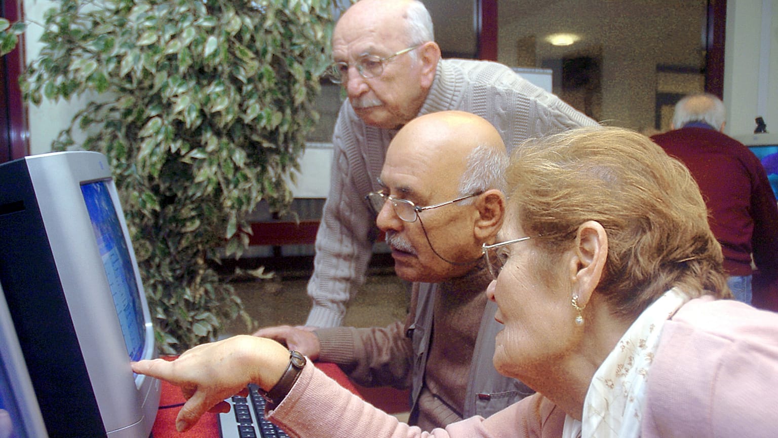 Yaşlı bilgisayar kullanıcıları