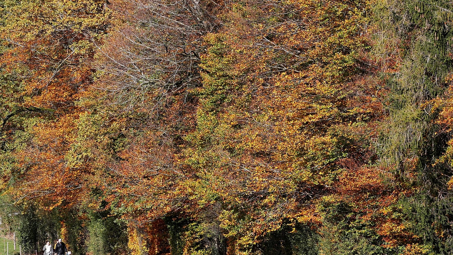 People hike during sunny autumn weather near Horgenberg, Switzerland 