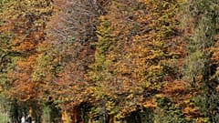 People hike during sunny autumn weather near Horgenberg, Switzerland 