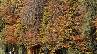 People hike during sunny autumn weather near Horgenberg, Switzerland 