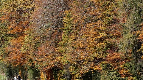 People hike during sunny autumn weather near Horgenberg, Switzerland 