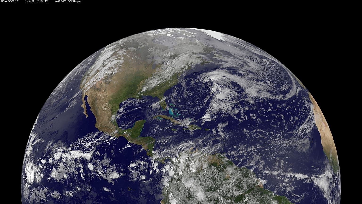 A coalition of scientists across the globe have declared a climate emergency