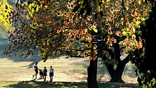 Fővárosi fiatalok sétálnak nyáriasan meleg napsütésben a Tabán közparkjának sárguló levelű fái alatt. 