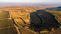 Where's the money? Farming subsidy exposure creates stir in EU Parliament