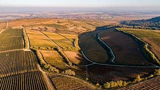 Where's the money? Farming subsidy exposure creates stir in EU Parliament